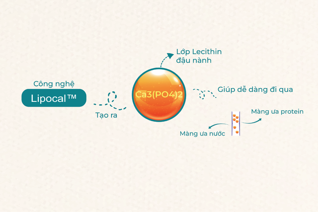 Canxi sinh học – Canxi tăng chiều cao thế hệ mới từ Châu  Âu - Ảnh 1.