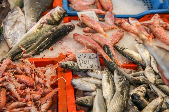 Ăn quá nhiều cá có thể có nguy cơ bị ung thư da chết người? - Ảnh 1.