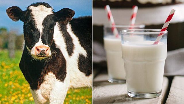8 loại sữa khác nhau ảnh hưởng đến mức cholesterol của bạn như thế nào?  - Ảnh 2.