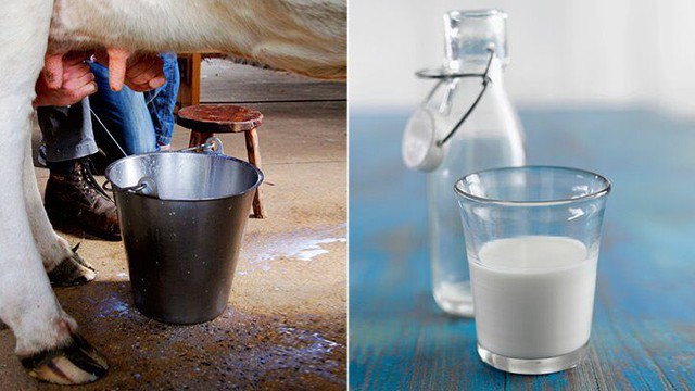 8 loại sữa khác nhau ảnh hưởng đến mức cholesterol của bạn như thế nào?  - Ảnh 3.