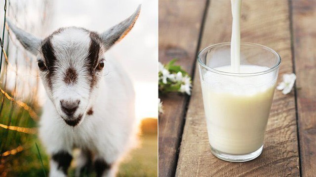 8 loại sữa khác nhau ảnh hưởng đến mức cholesterol của bạn như thế nào?  - Ảnh 9.