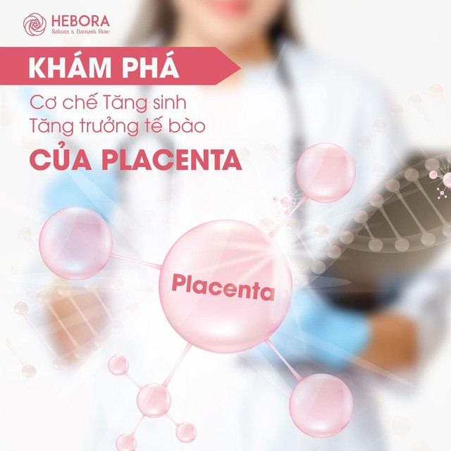 Công trình nghiên cứu về vai trò của Placenta trong hoạt động của tế bào - Ảnh 2.