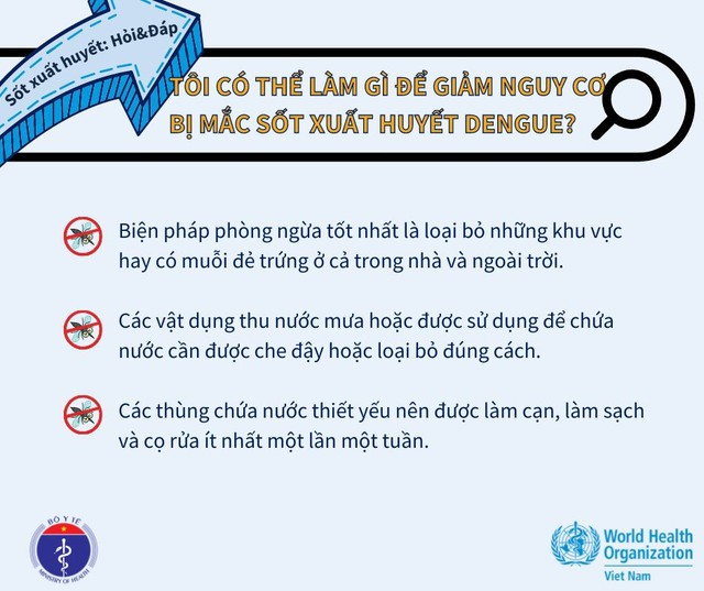 Hà Nội cảnh giác với sốt xuất huyết  - Ảnh 3.