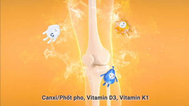 Vì sao phụ nữ mang thai nên bổ sung Canxi hữu cơ có vitamin D3, vitamin K? - Ảnh 3.