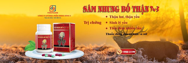 Chứng thận hư thận yếu – Hiểu đúng bệnh, chữa đúng cách - Ảnh 3.