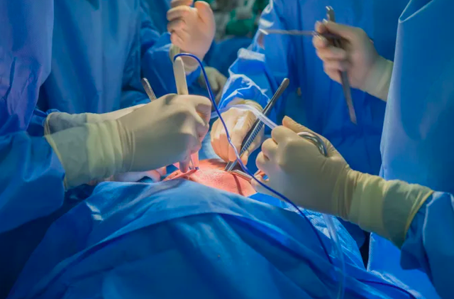 Mỹ: Lại tiến hành cấy tim lợn cho 2 bệnh nhân chết não - Ảnh 1.