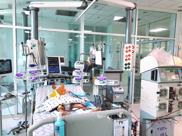 Cứu sống bé trai 5 tuổi bị ong vò vẽ đốt hơn 15 mũi nhờ chạy ECMO và lọc máu suốt 1 tháng - Ảnh 1.