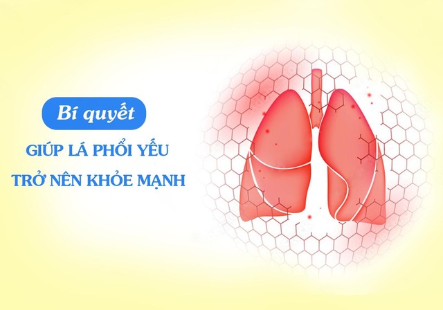 Bí quyết thảo dược của Mỹ hỗ trợ lá phổi yếu khỏe mạnh hơn - Ảnh 1.