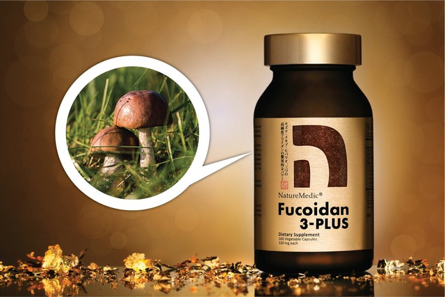 Cơ chế tác động của Fucoidan trong hỗ trợ sức khỏe cho người bị ung thư - Ảnh 4.