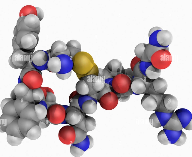 hormone 16591990121921729127177 1659199041144237367551