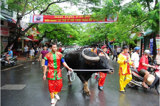 Hải Phòng: Lễ hội chọi trâu Đồ Sơn 2022 khởi động trở lại với nhiều nét mới - Ảnh 2.