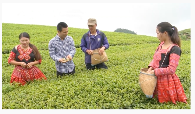 Tiềm năng lớn khi đầu tư cửa hàng nhượng quyền trà sữa ToCoToCo - Ảnh 3. Tiềm năng lớn khi đầu tư cửa hàng nhượng quyền trà sữa ToCoToCo - Ảnh 3.