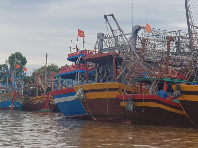 Tàu cá Quảng Bình về bờ hải sản đầy khoang, rác đầy túi để biển không bị ô nhiễm - Ảnh 3.