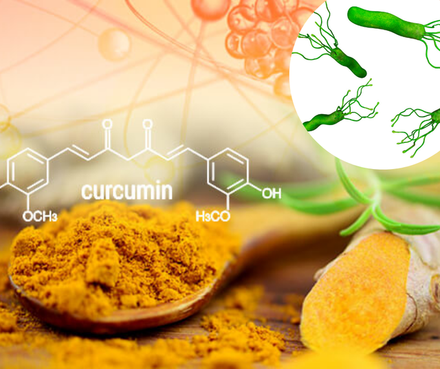 Tác dụng của nano curcumin tới việc hỗ trợ điều trị vi khuẩn HP - Ảnh 1.