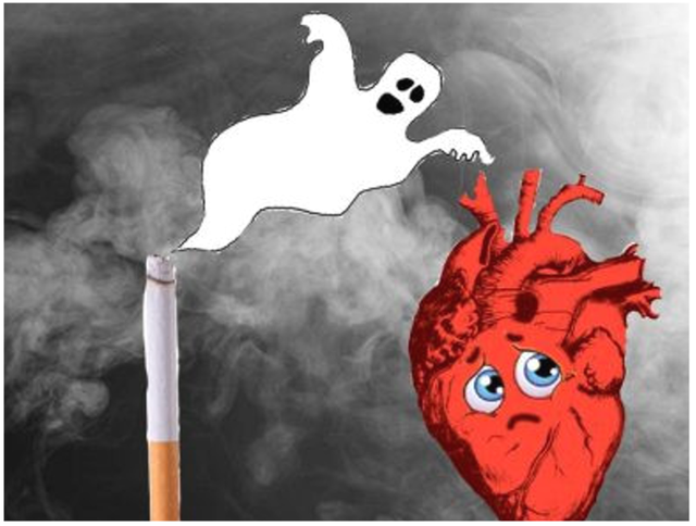 Hút thuốc lá khiến cho tim to ra và yếu hơn - Ảnh 1.