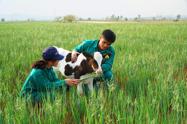 Các bé đòi đi nghỉ dưỡng với bò, bố mẹ đau đầu “bó tay” - Ảnh 4.