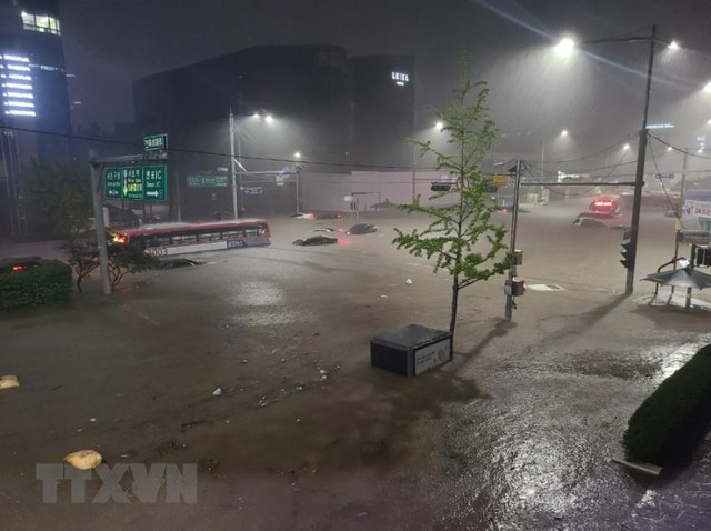 Ngày 8/8, Cơ quan Khí tượng Hàn Quốc (KMA) cho biết khu vực miền Trung nước này, bao gồm thủ đô Seoul, đã hứng chịu lượng mưa lên tới 170mm, khiến nhiều nhà cửa và hạ tầng bị ngập lụt. (Nguồn: Yonhap/koreaherald.com)
