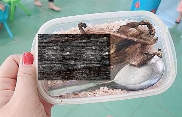 Xôn xao bức ảnh hộp cơm với thịt chuột của học sinh vùng cao, phòng Giáo dục nói gì? - Ảnh 1.