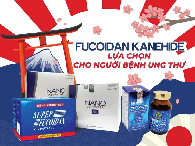 Tác dụng hỗ trợ của Fucoidan với người bệnh ung thư - Ảnh 3.