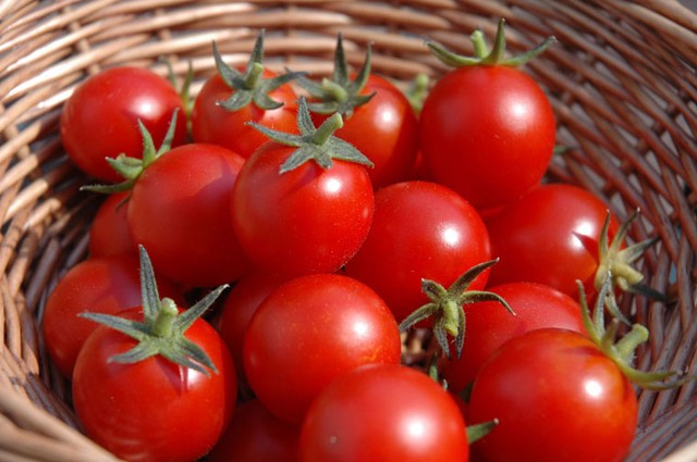 Cà chua, loại quả quen thuộc giúp giảm cân hiệu quả - Ảnh 2.