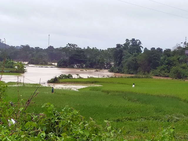 Hai người bị thương, hàng chục nhà đổ sập vì mưa lũ ở Hà Giang - Ảnh 4.