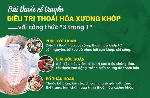 Bài thuốc chữa thoái hóa cột sống, thoái hóa khớp bằng Đông y chính thống - Ảnh 2.