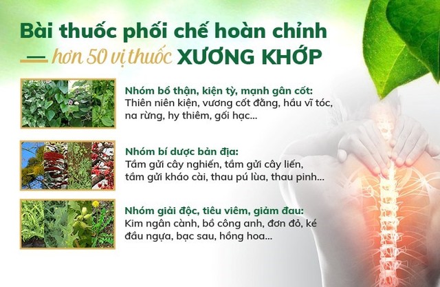 Bài thuốc chữa thoái hóa cột sống, thoái hóa khớp bằng Đông y chính thống - Ảnh 3.