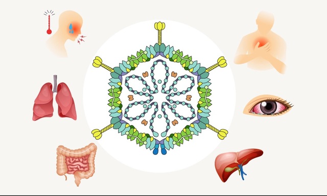 Nhóm adenovirus thường gây bệnh bằng cách tiếp xúc với các chất tiết từ người bị nhiễm bệnh hoặc do tiếp xúc với một đồ vật bị nhiễm bẩn.