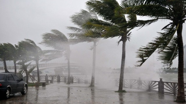 Trong tháng 10 Việt Nam có thể đón 2,3 cơn bão/áp thấp nhiệt đới - Ảnh 1.