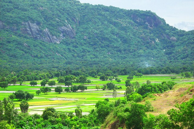 Những cây thuốc quý của đồng bào dân tộc Khmer vùng Bảy Núi - Ảnh 1.