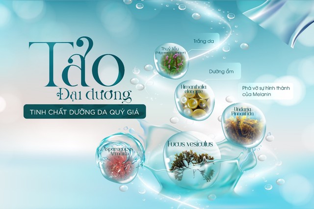 Lựa chọn mặt nạ từ tảo đại dương, nên hay không? - Ảnh 1. Lựa chọn mặt nạ từ tảo đại dương, nên hay không? - Ảnh 1.