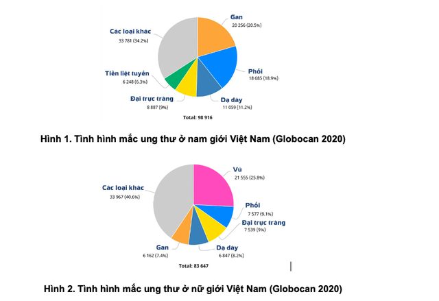 Khám sàng lọc ung thư: Lựa chọn thế nào cho phù hợp? - Ảnh 1.