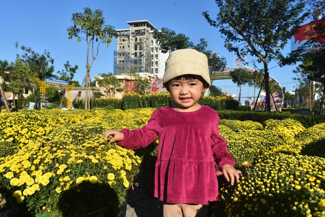 Đường phố Quảng Bình rực màu cây cảnh, hoa Tết - Ảnh 12.
