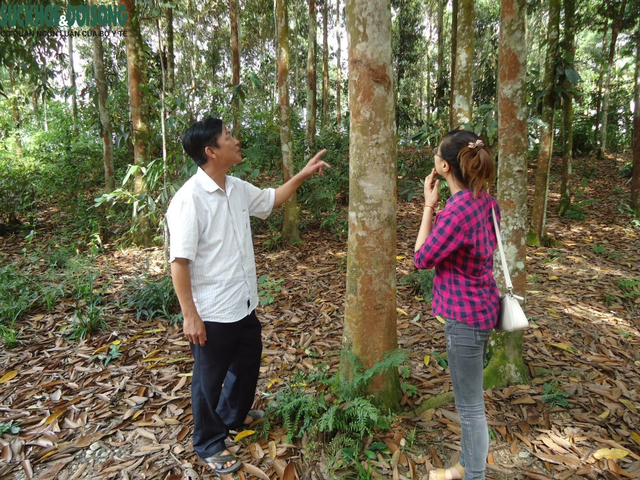 Công nhân quế Văn Yên miệt mài tăng ca những ngày cận Tết - Ảnh 1.