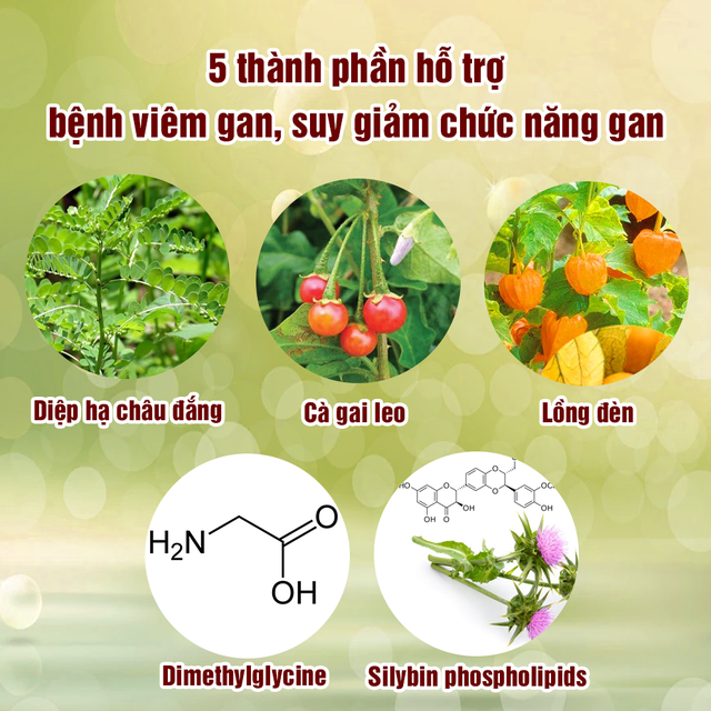 Giải pháp hỗ trợ giải độc - bảo vệ - tăng cường chức năng gan - Ảnh 1.