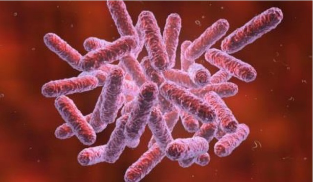 Một bệnh nhân ở Quảng Nam tử vong do nhiễm 'vi khuẩn ăn thịt người' - Ảnh 1.