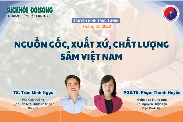 Truyền hình trực tuyến: Nguồn gốc, xuất xứ, chất lượng sâm Việt Nam - Ảnh 1. Truyền hình trực tuyến: Nguồn gốc, xuất xứ, chất lượng sâm Việt Nam - Ảnh 1.