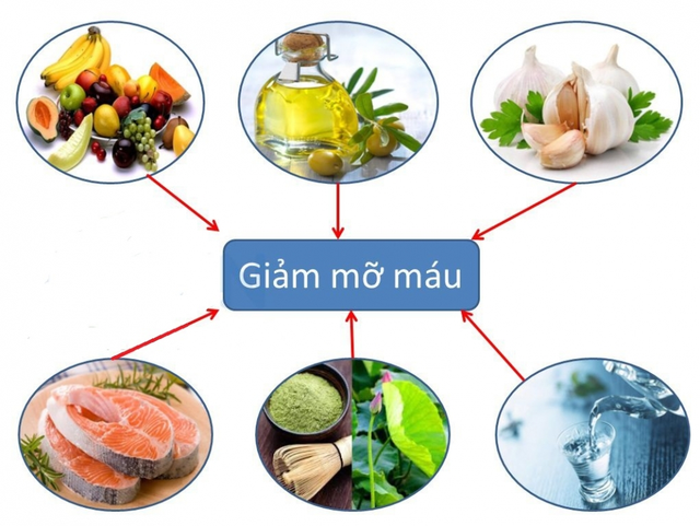 Mỡ máu là một thành phần quan trọng trong cơ thể. Tuy nhiên khi mỡ máu cao sẽ gây ra bệnh máu nhiễm mỡ với nhiều biến chứng nguy hiểm.