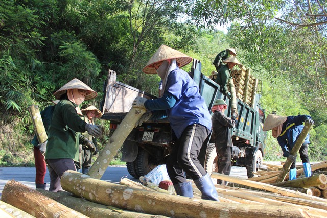 Sơn Động, Bắc Giang: Thúc đẩy khởi sự kinh doanh, khởi nghiệp và thu hút đầu tư vùng đồng bào DTTS- Ảnh 2.