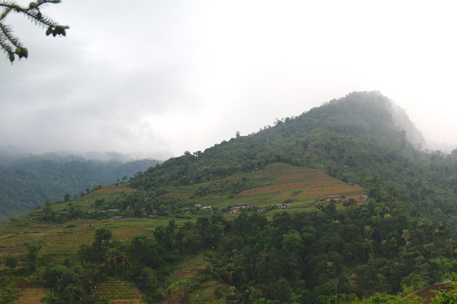 Cây dược liệu đem đến cuộc sống mới cho người dân Sìn Hồ - Ảnh 1.