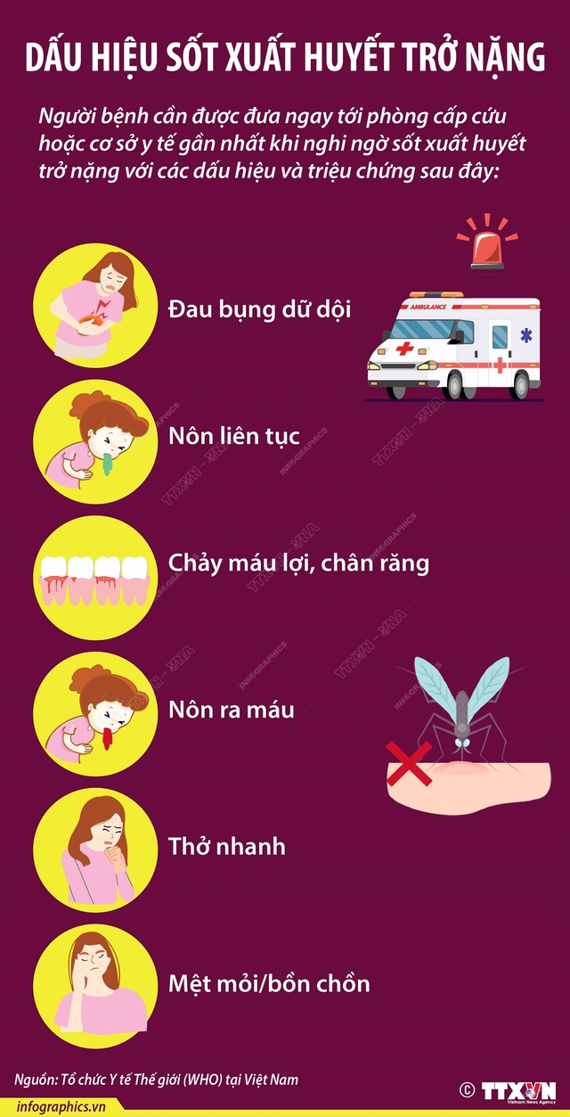 Chăm sóc trẻ sốt xuất huyết tại nhà đúng cách - Ảnh 2.