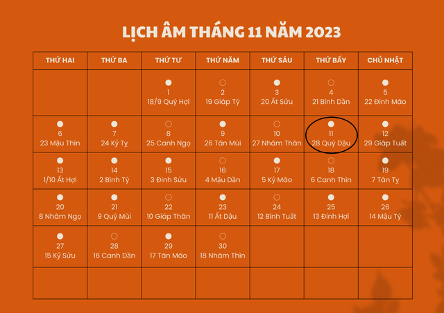 Lịch âm 11/11 - Âm lịch hôm nay 11/11 - Lịch vạn niên ngày 11/11/2023 - Ảnh 1.