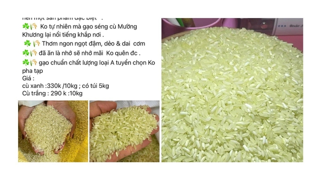 Gạo Séng Cù xanh là do nhuộm màu chứ không phải gạo từ lúa non - Ảnh 2.