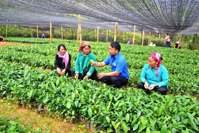 Lào Cai đề xuất giải pháp gỡ vướng trong thực hiện Chương trình MTQG phát triển vùng đồng bào dân tộc thiểu số- Ảnh 1.