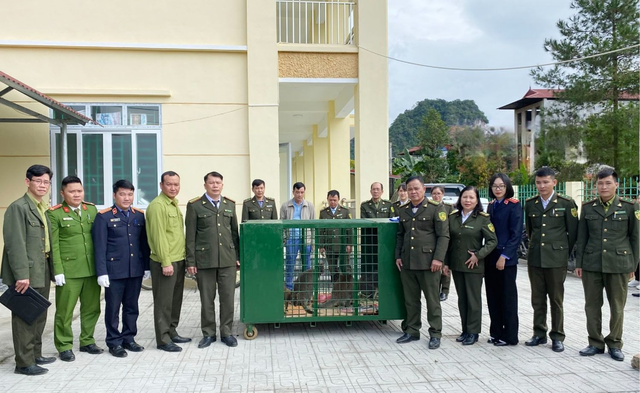 4 con chuột túi được phát hiện tại Cao Bằng đã có 'nhà mới'- Ảnh 2.