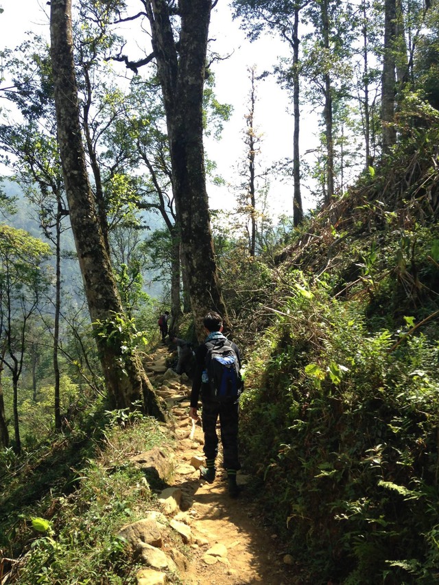 Núi Bạch Mộc Lương Tử là một trong những địa điểm được nhiều người chọn đi Trekking.