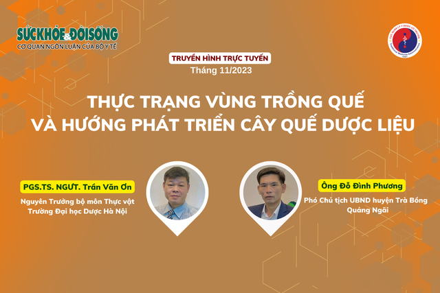 Truyền hình trực tuyến: Thực trạng vùng trồng quế và hướng phát triển cây quế dược liệu- Ảnh 1.