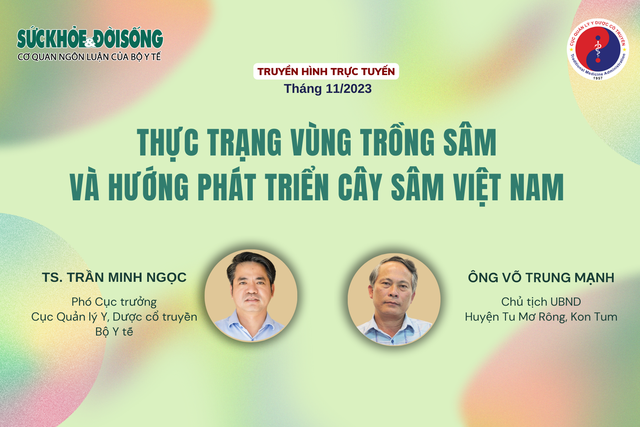 Truyền hình trực tuyến: Thực trạng vùng trồng sâm và hướng phát triển cây sâm Việt Nam- Ảnh 1.
