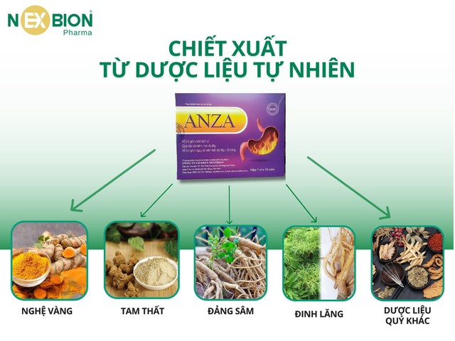 Thực phẩm bảo vệ sức khoẻ có nguồn gốc dược liệu- Ảnh 2.