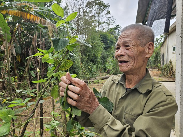 Lão nông trả lại hàng trăm m2 đất nông nghiệp cho Nhà nước- Ảnh 4.